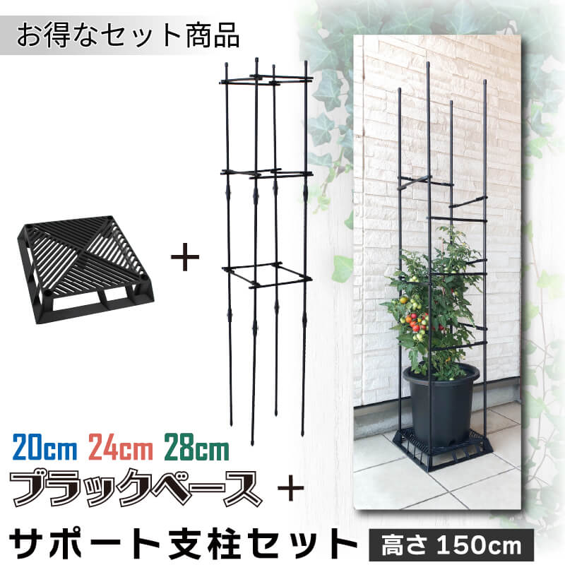 daim ブラックベース 24cm