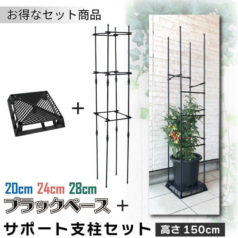 daim ブラックベース 24cm  10個 