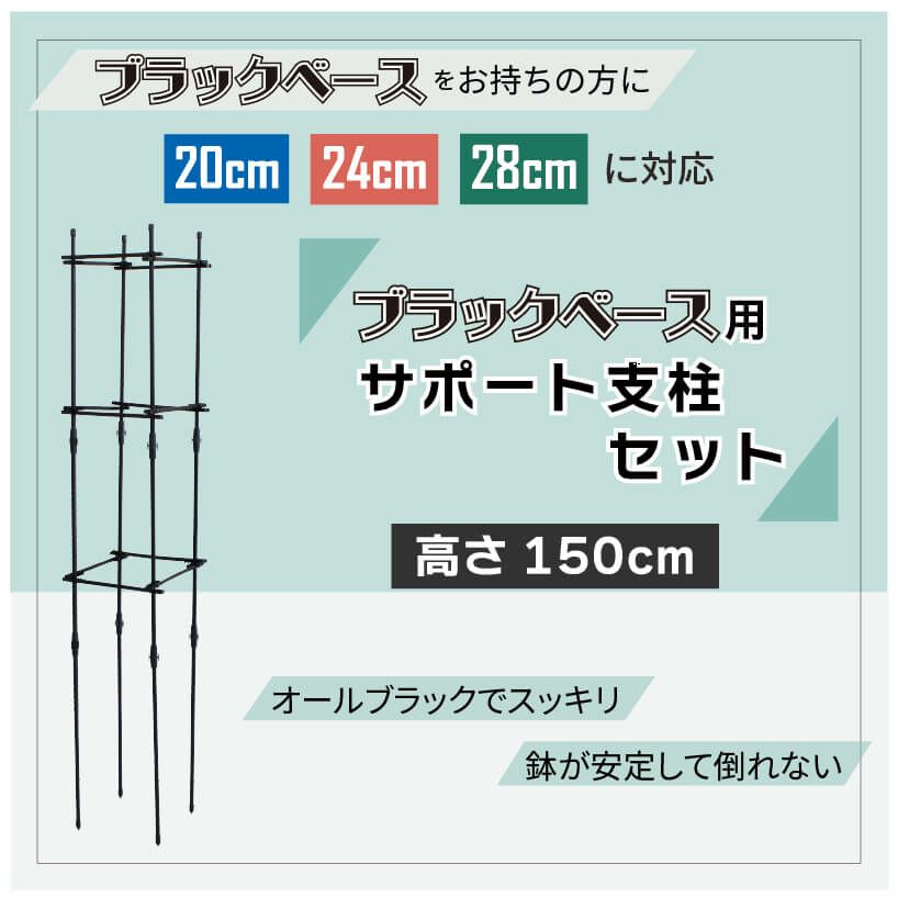 daim ブラックベース 24cm  10個 
