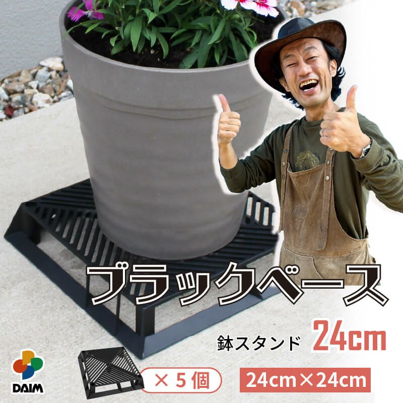 daim ブラックベース 24cm  5個 