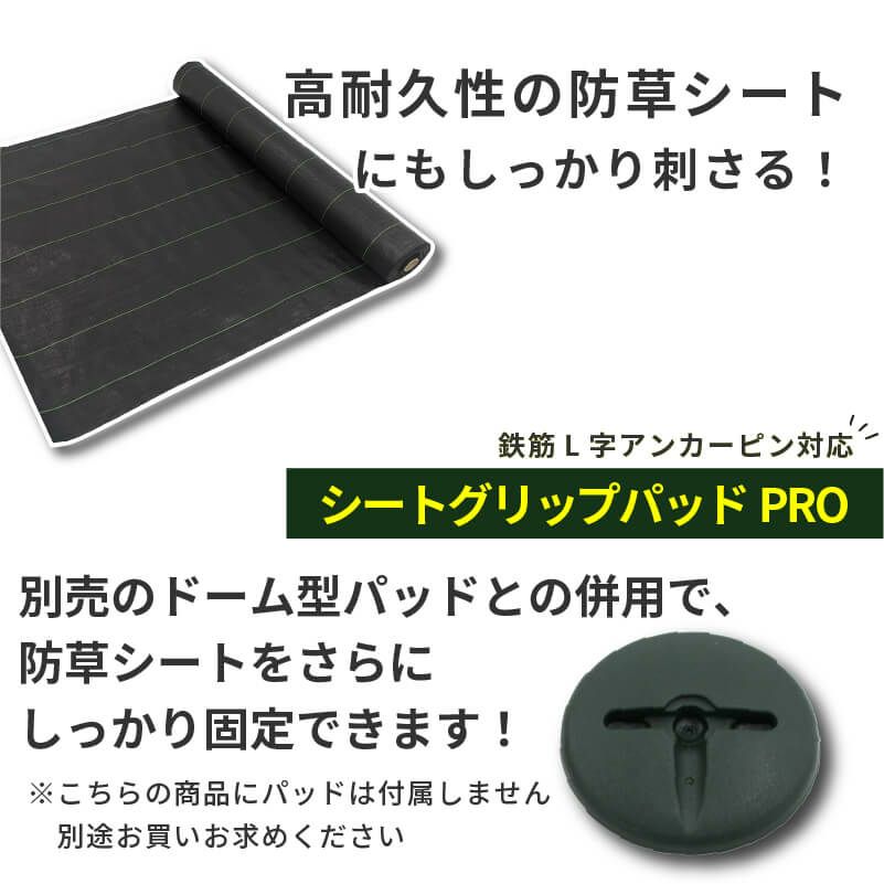 daim 鉄筋L字アンカーピン プロ 長さ30cm 50本入 太い 剣先 防草シート ピン マルチ 押さえ おさえ 防そうシート 除草シート ぼうそうしーと 防草しーと 雑草 対策 釘押さえ シート 固定 ザバーン 第一ビニール