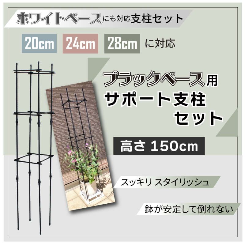 daim ホワイトベース 20cm 3個