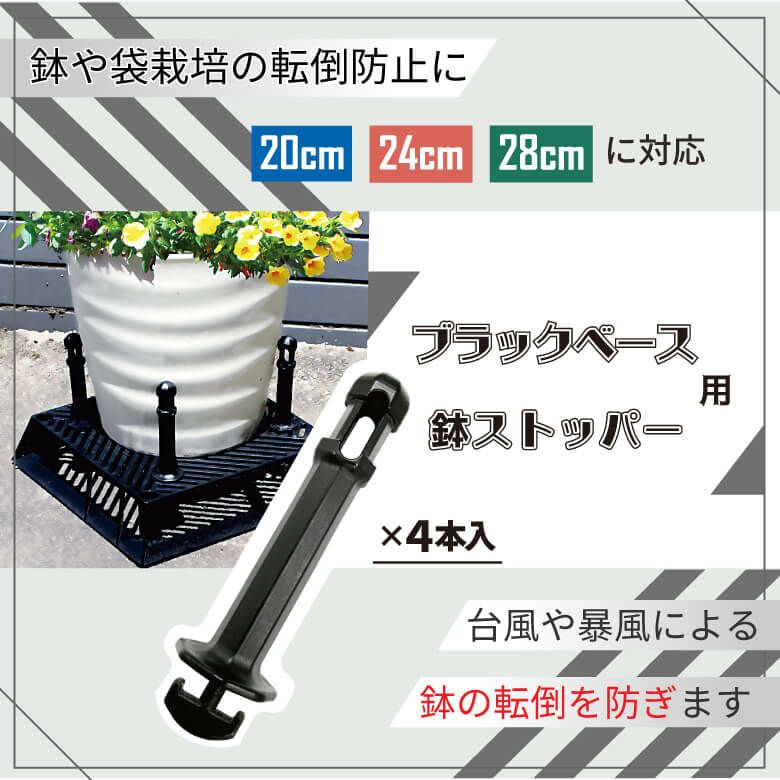 daim ホワイトベース 24cm 3個