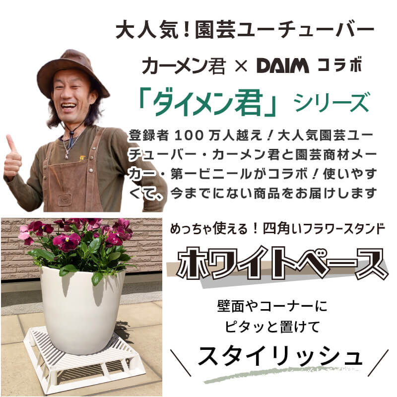 daim ホワイトベース 24cm 5個