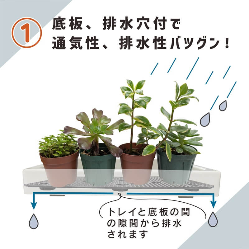 daim 多肉マンション 幅35cm×奥行き27cm×高さ28cm 3セット入り 全3色 オフホワイト アイスグレー ブラック