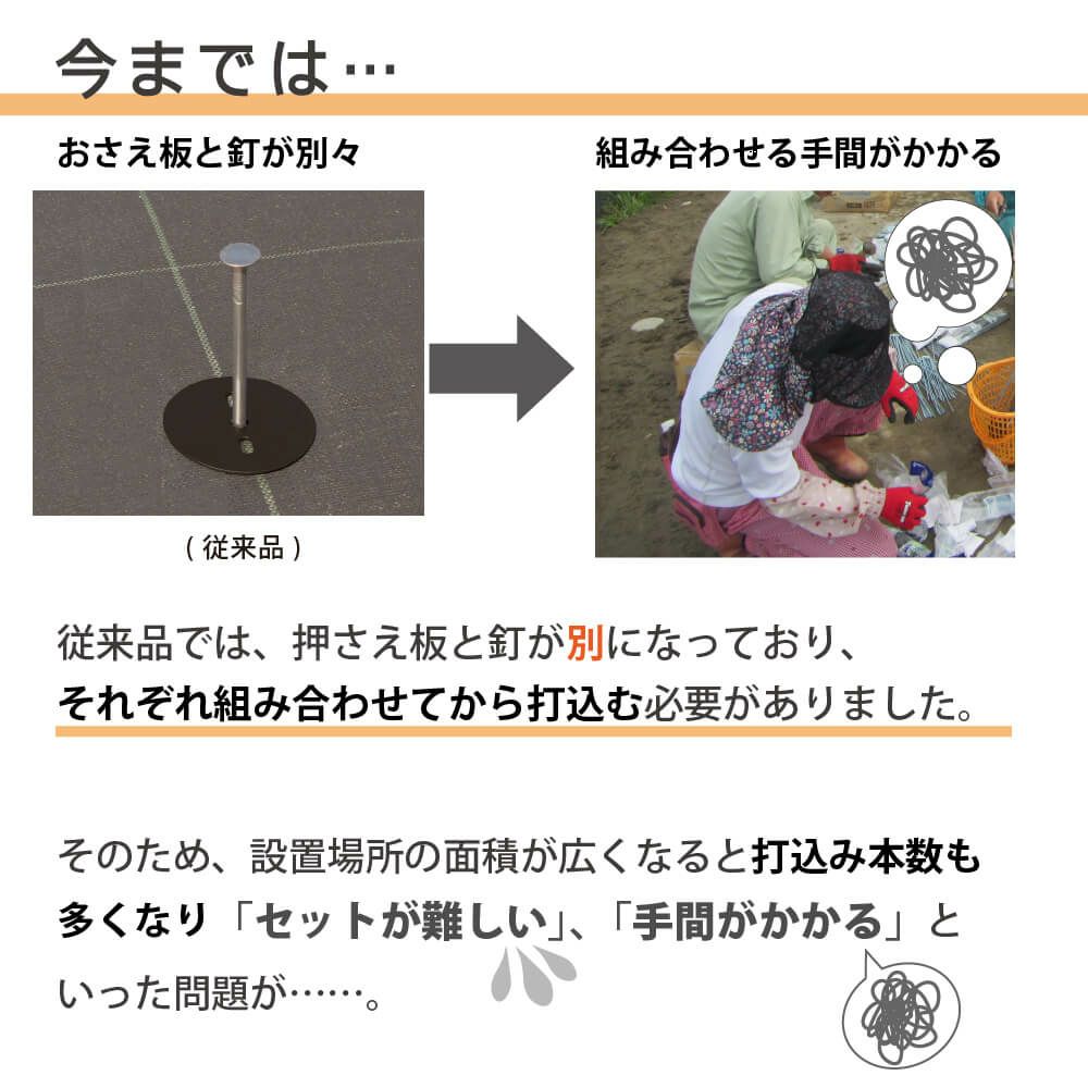 daim 防草シート押さえ 楽釘アンカー 長さ15cm 10本入