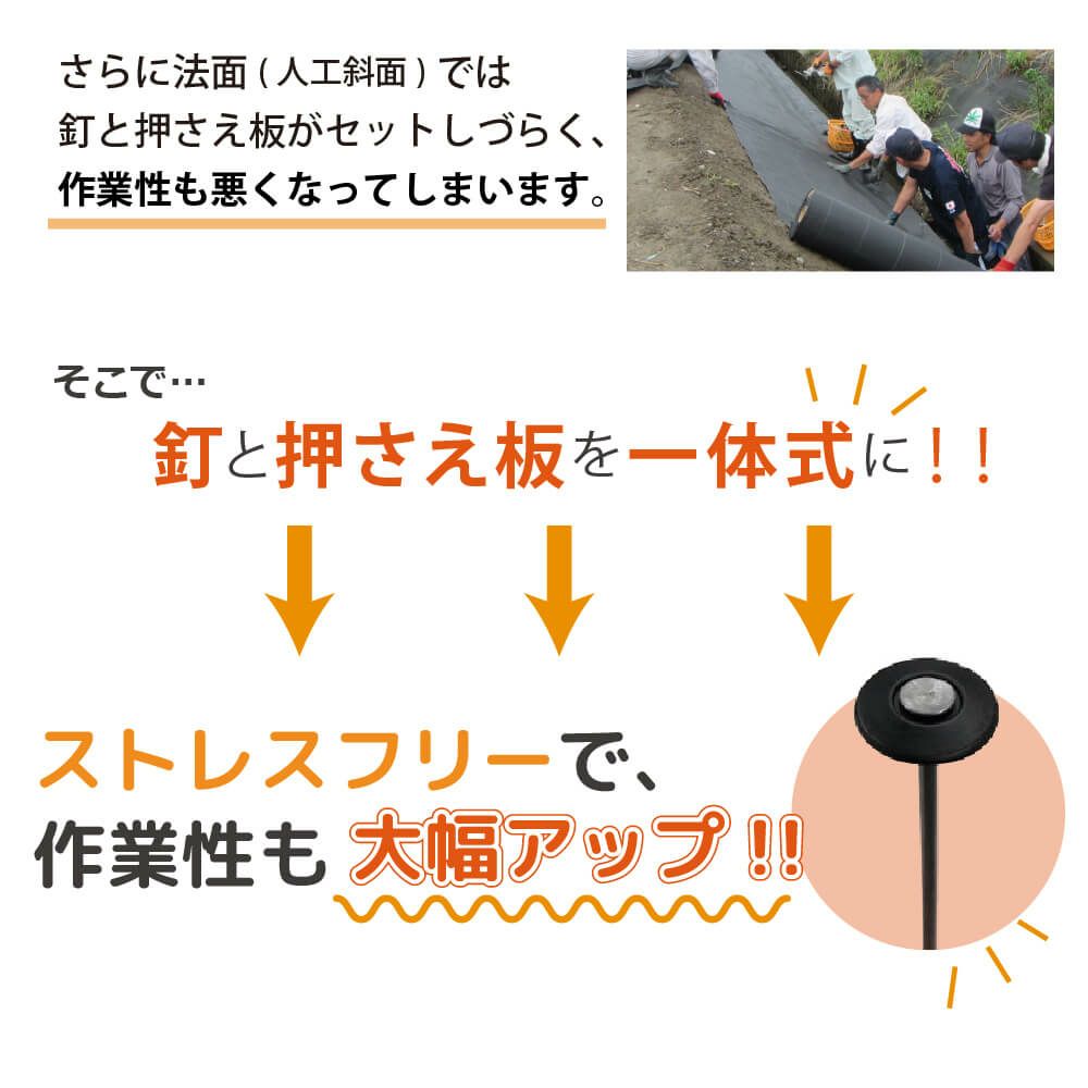 daim 防草シート押さえ 楽釘アンカー 長さ20cm 50本入