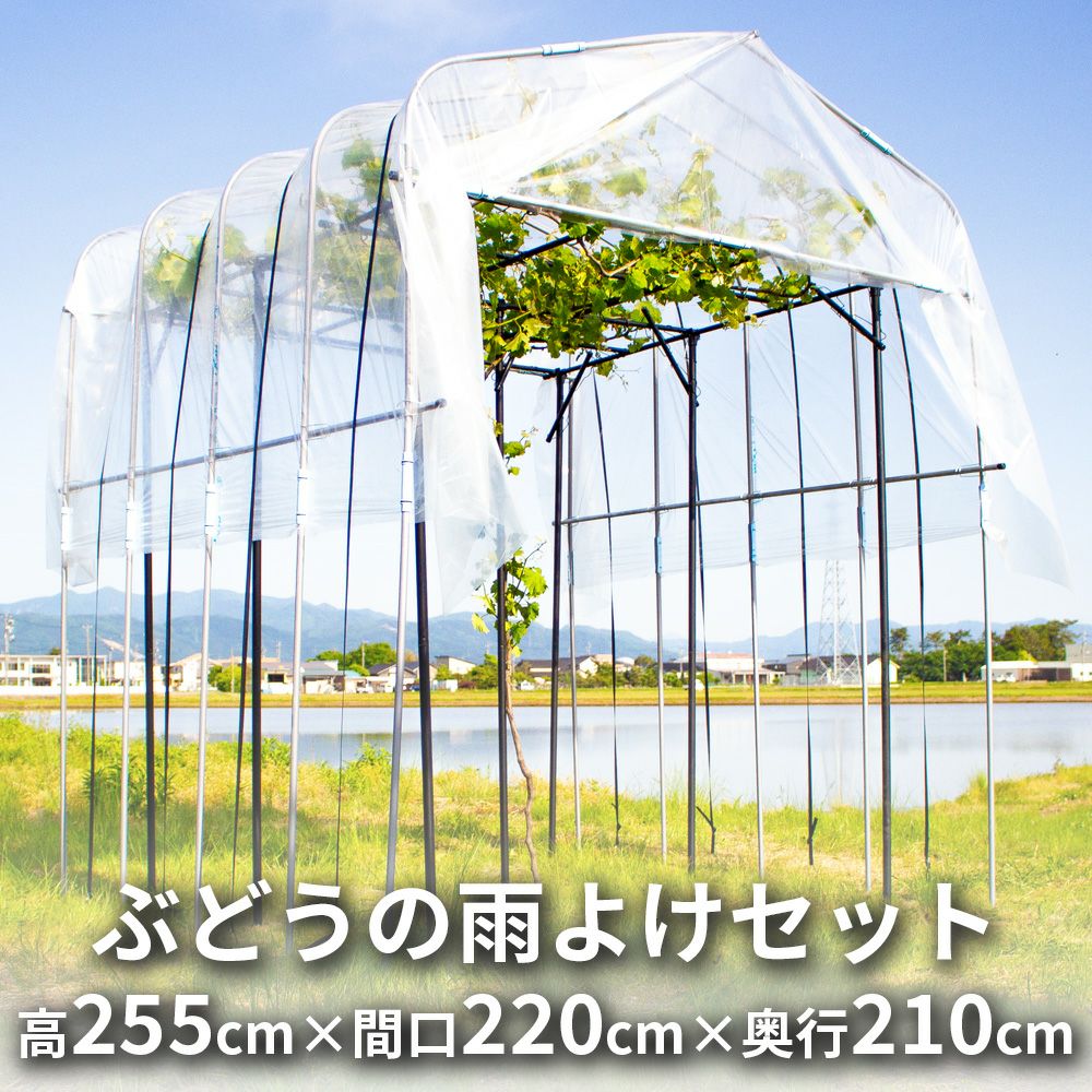 daim ぶどうの雨よけセット くだもの棚 ぶどう 雨除け 葡萄 ブドウ バーゴラ ガーデンアーチ