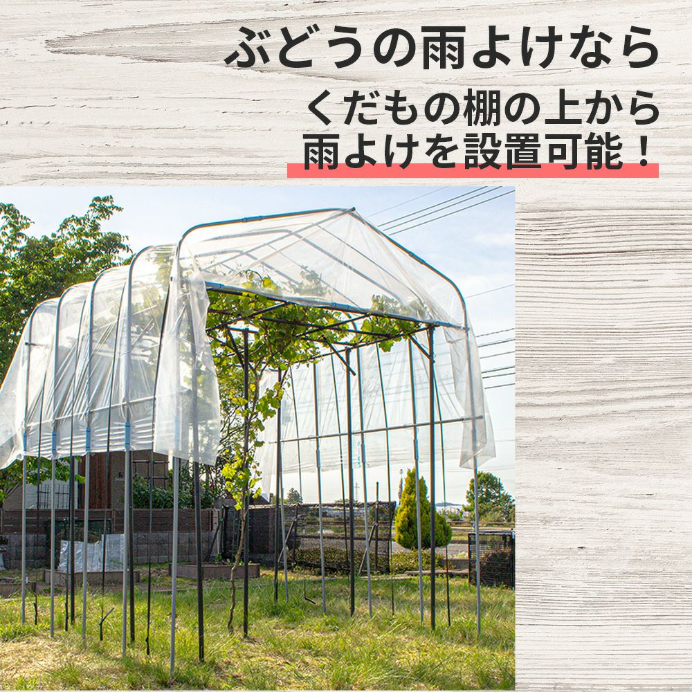 daim ぶどうの雨よけセット くだもの棚 ぶどう 雨除け 葡萄 ブドウ バーゴラ ガーデンアーチ