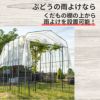daim ぶどうの雨よけセット くだもの棚 ぶどう 雨除け 葡萄 ブドウ バーゴラ ガーデンアーチ