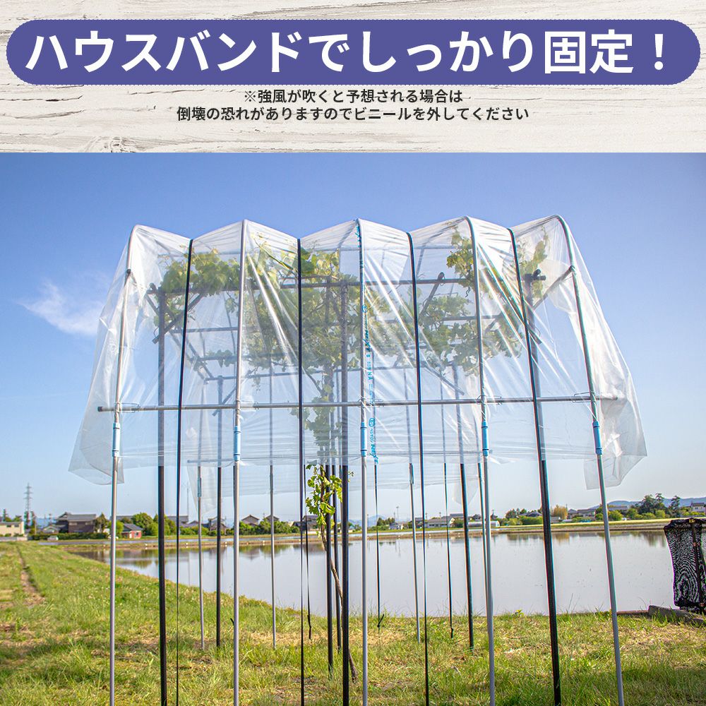 daim ぶどうの雨よけセット くだもの棚 ぶどう 雨除け 葡萄 ブドウ バーゴラ ガーデンアーチ