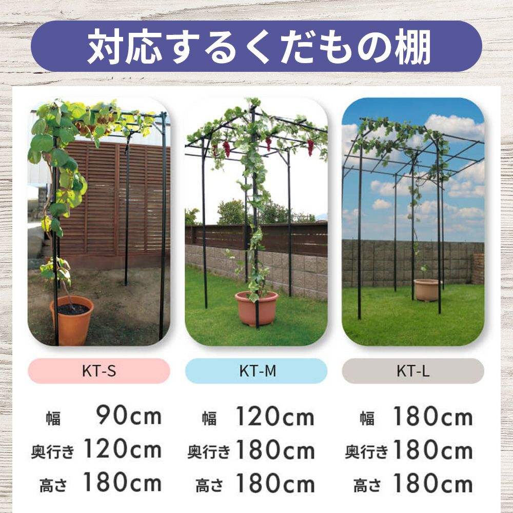 daim ぶどうの雨よけセット くだもの棚 ぶどう 雨除け 葡萄 ブドウ バーゴラ ガーデンアーチ