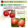 daim 雨よけセットDXロング