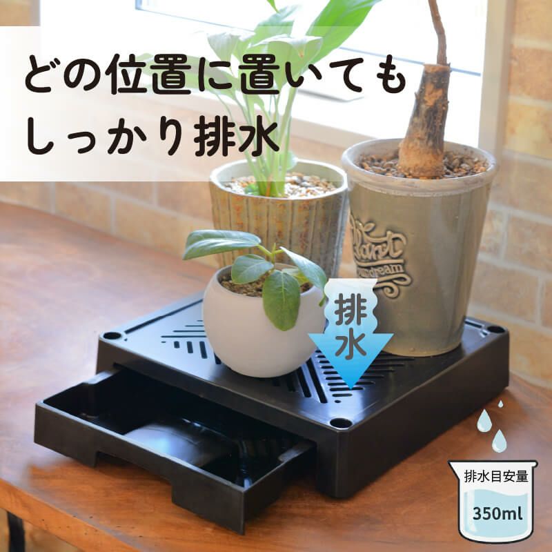どこでもブラックベース24cm