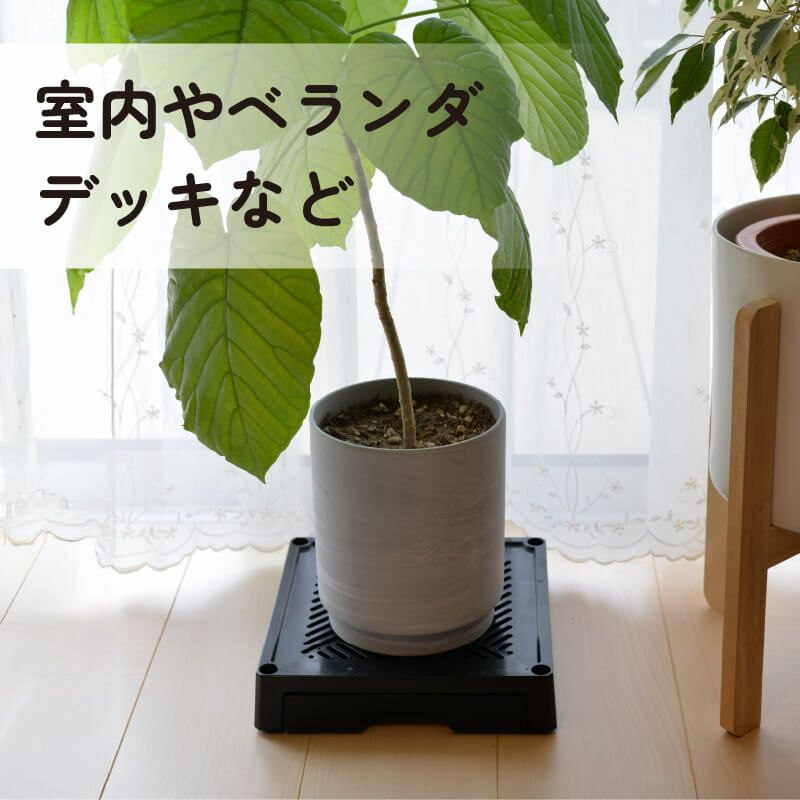 どこでもブラックベース24cm